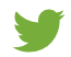 Icon Twitter